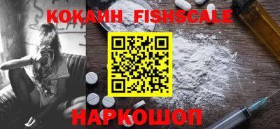 крисы Новодвинск