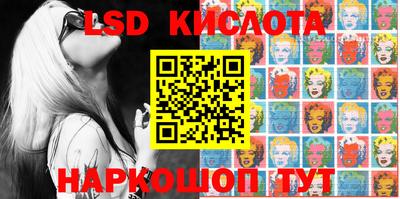 СК Новозыбков