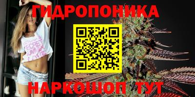 СК Новозыбков