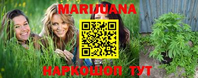 крисы Новодвинск