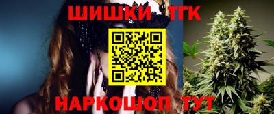 крисы Новодвинск
