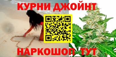 крисы Новодвинск