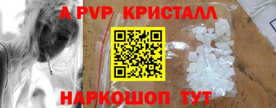 СК Новозыбков